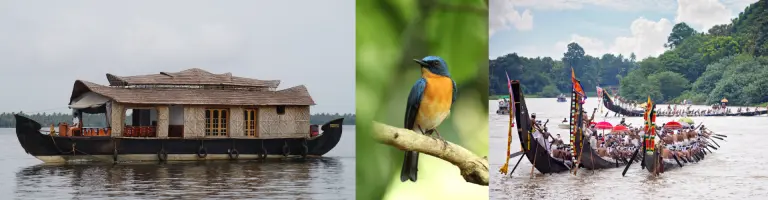 Top 10 Travel Tips for First-Time Travelers